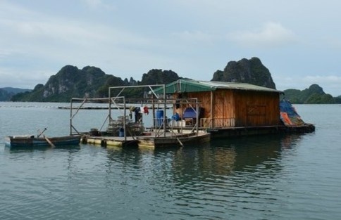 Dot kich soi bac tren be noi giua bien hinh anh