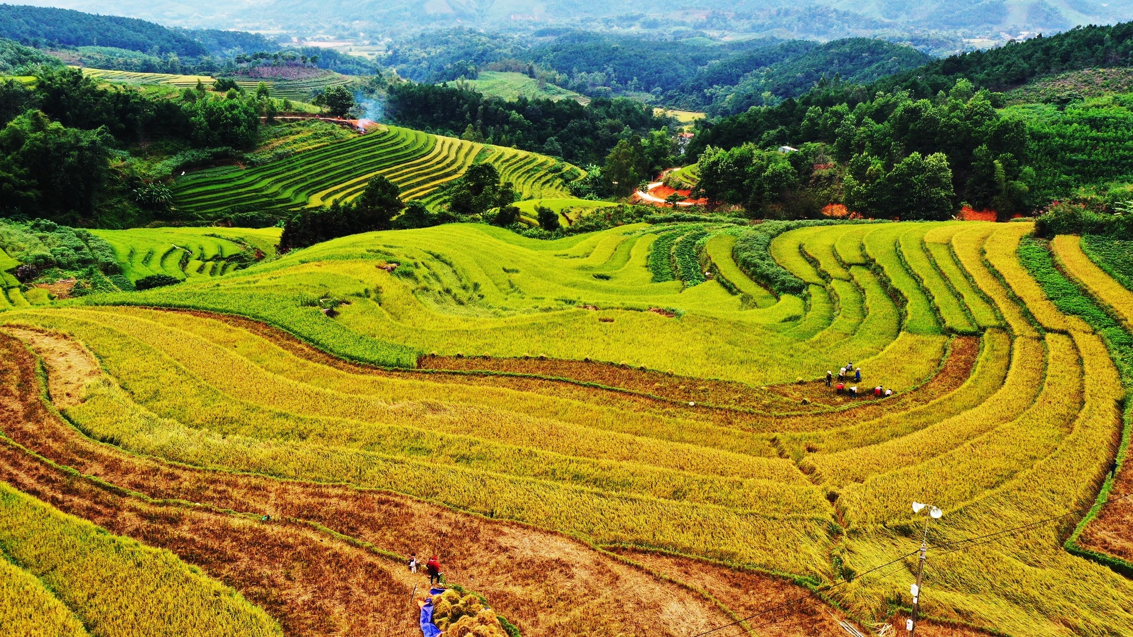 Ngam mua vang Binh Lieu tren cao bang du luon hinh anh