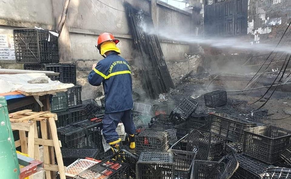 Hoa hoan tai Ha Long anh 2