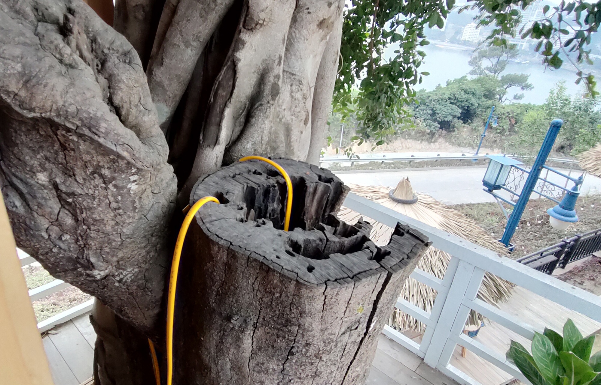 xam pham Tuong dai Dang Ba Hat anh 6