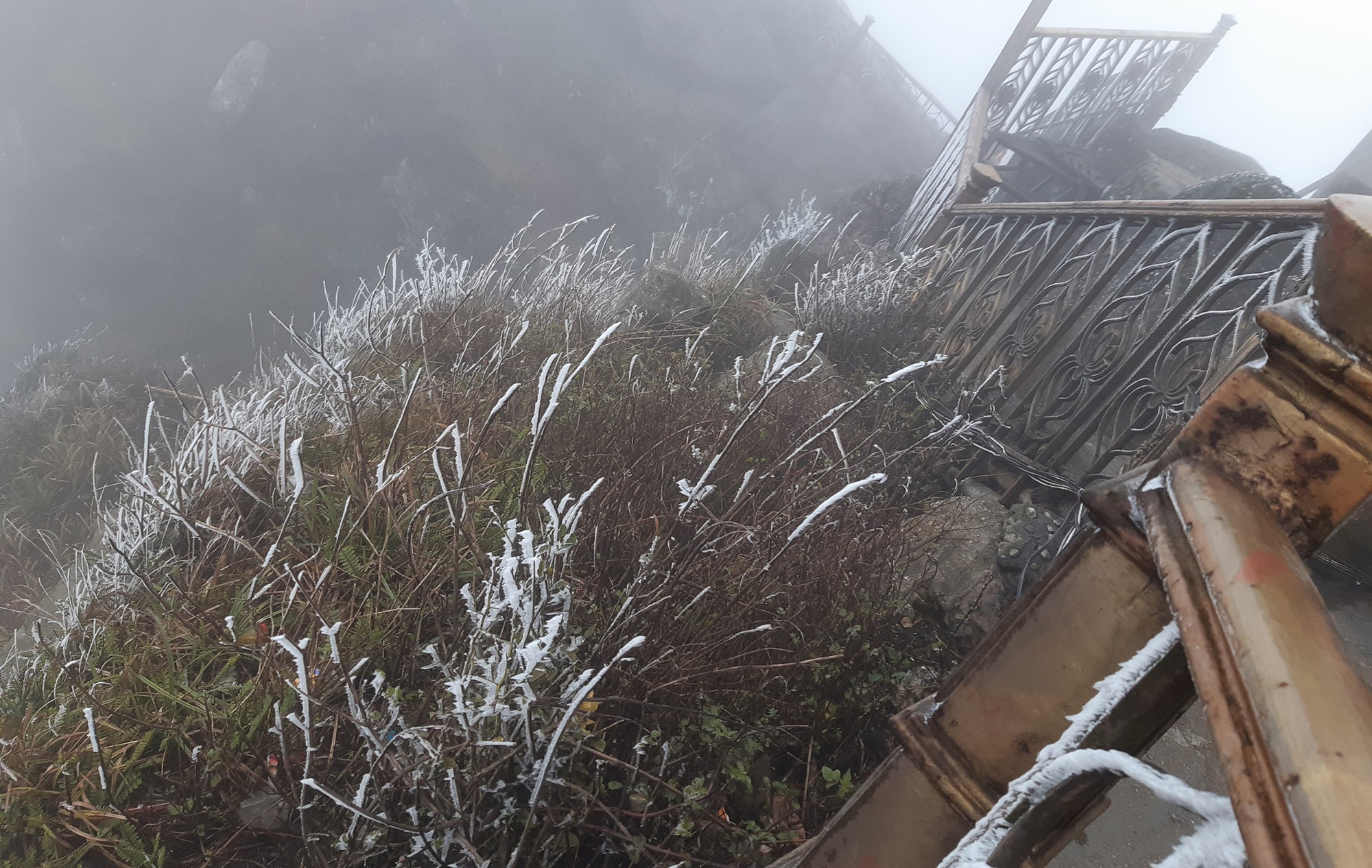 Bang gia xuat hien o Yen Tu anh 9