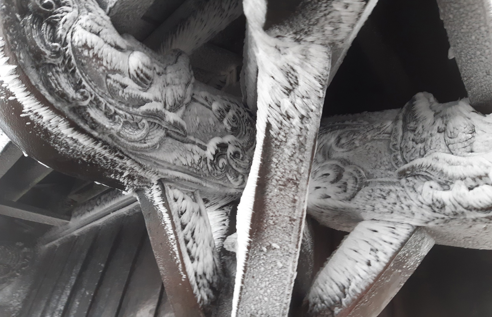 Bang gia xuat hien o Yen Tu anh 5