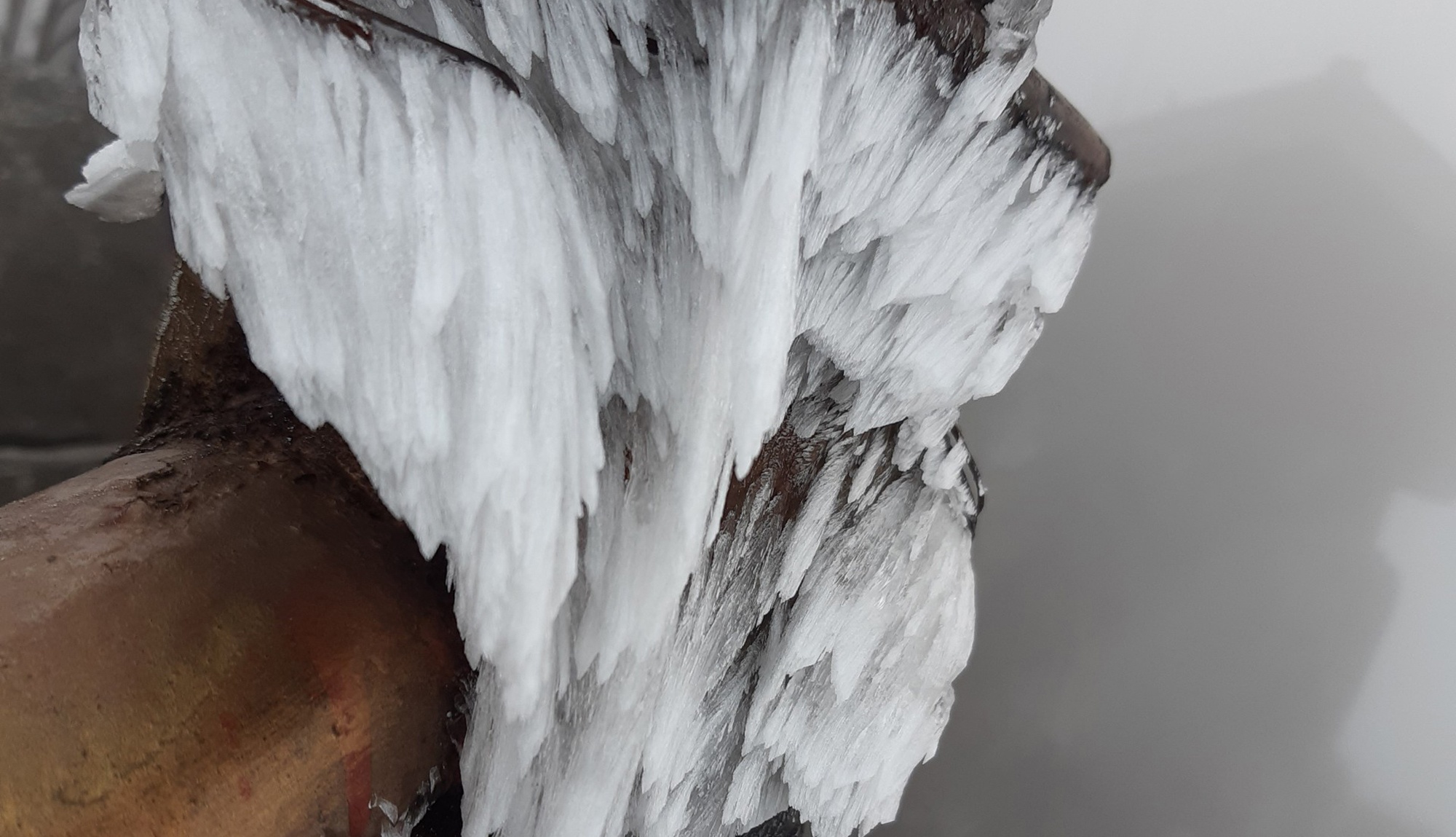 Bang gia xuat hien o Yen Tu anh 4