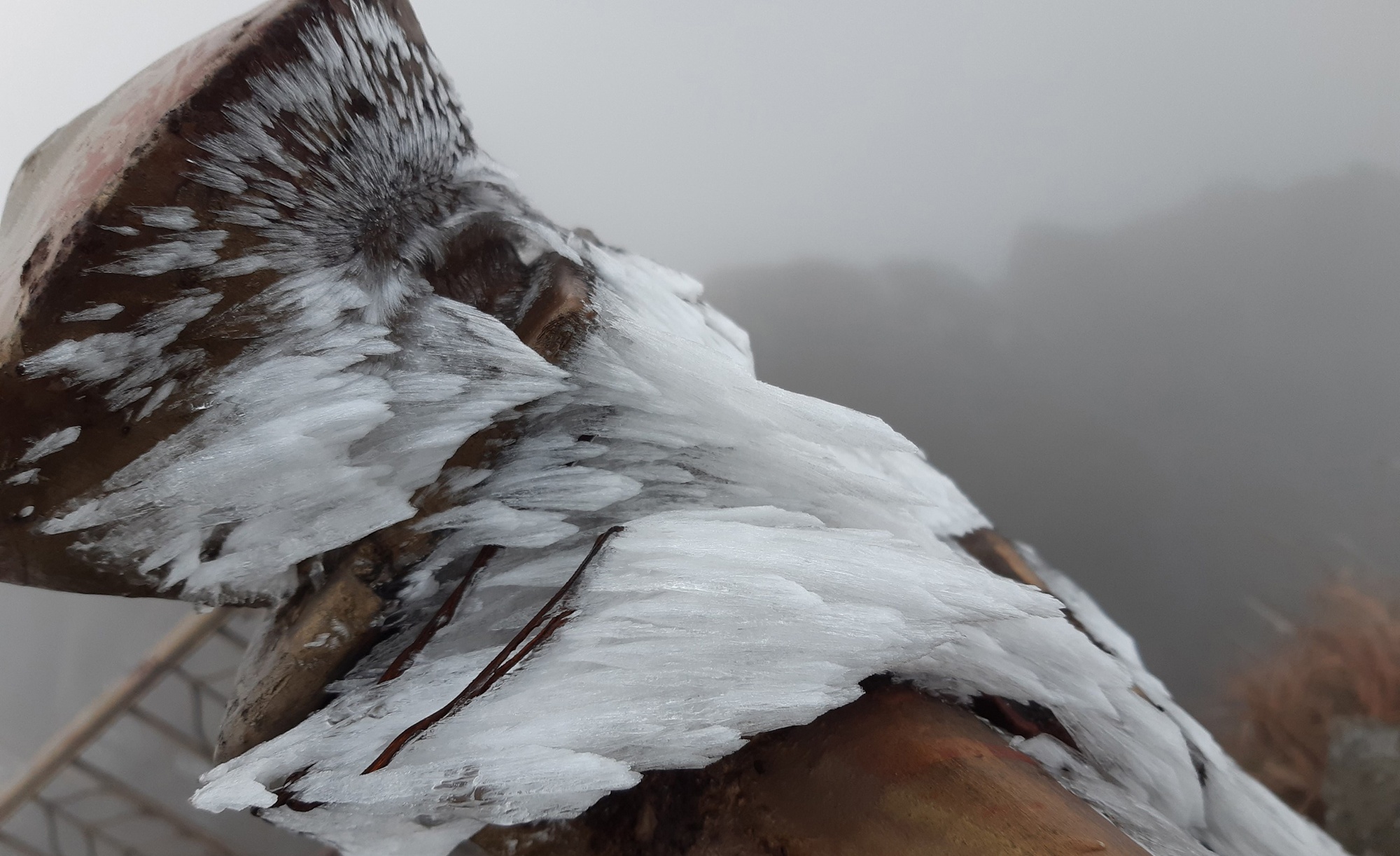 Bang gia xuat hien o Yen Tu anh 8