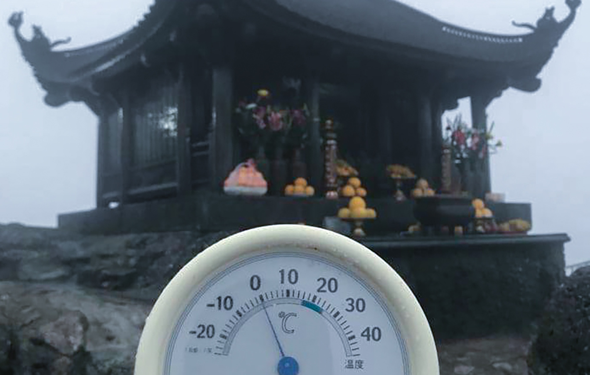 Bang gia xuat hien o Yen Tu anh 1