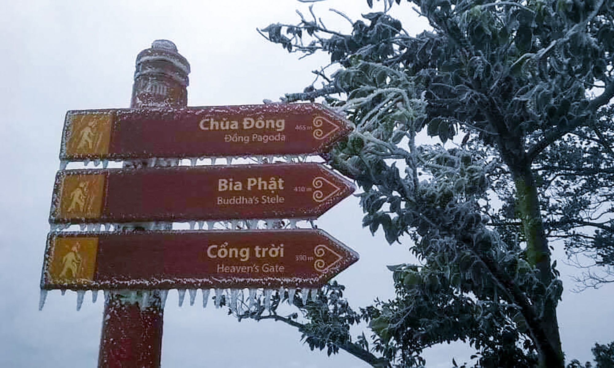 Bang gia xuat hien o Yen Tu anh 2