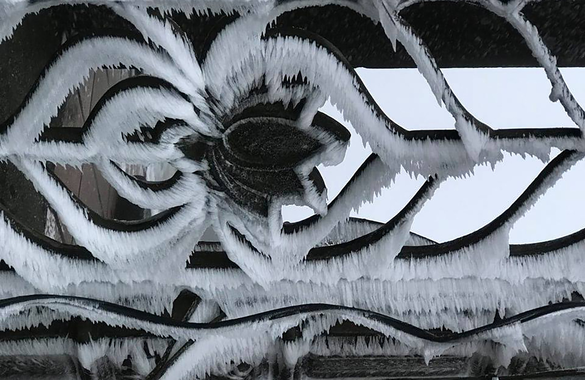 Bang gia xuat hien o Yen Tu anh 10