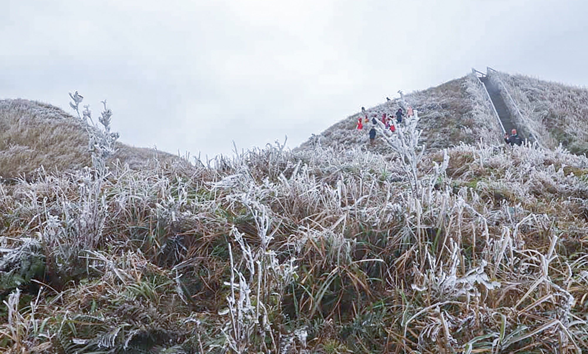Bang gia xuat hien tai bien gioi anh 1