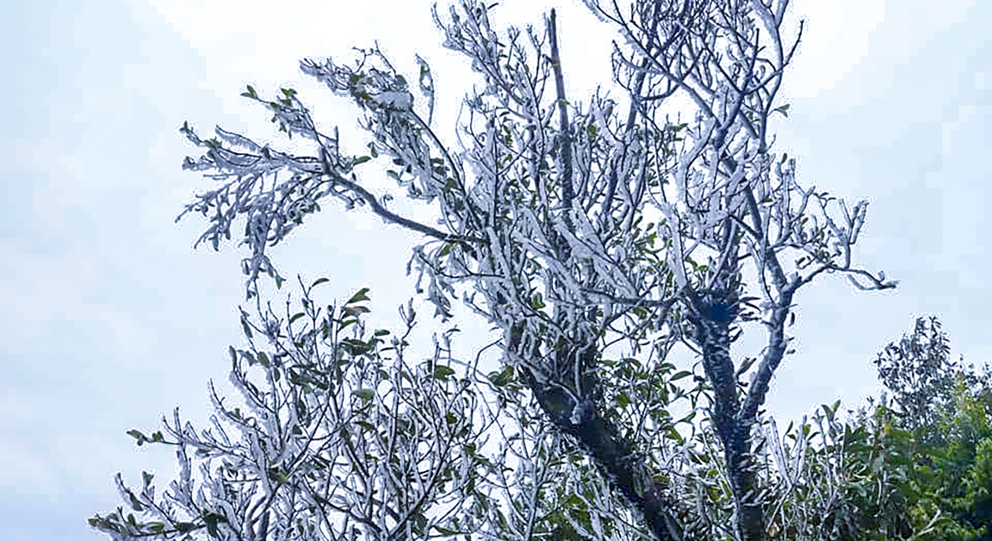 Bang gia xuat hien tai bien gioi anh 7