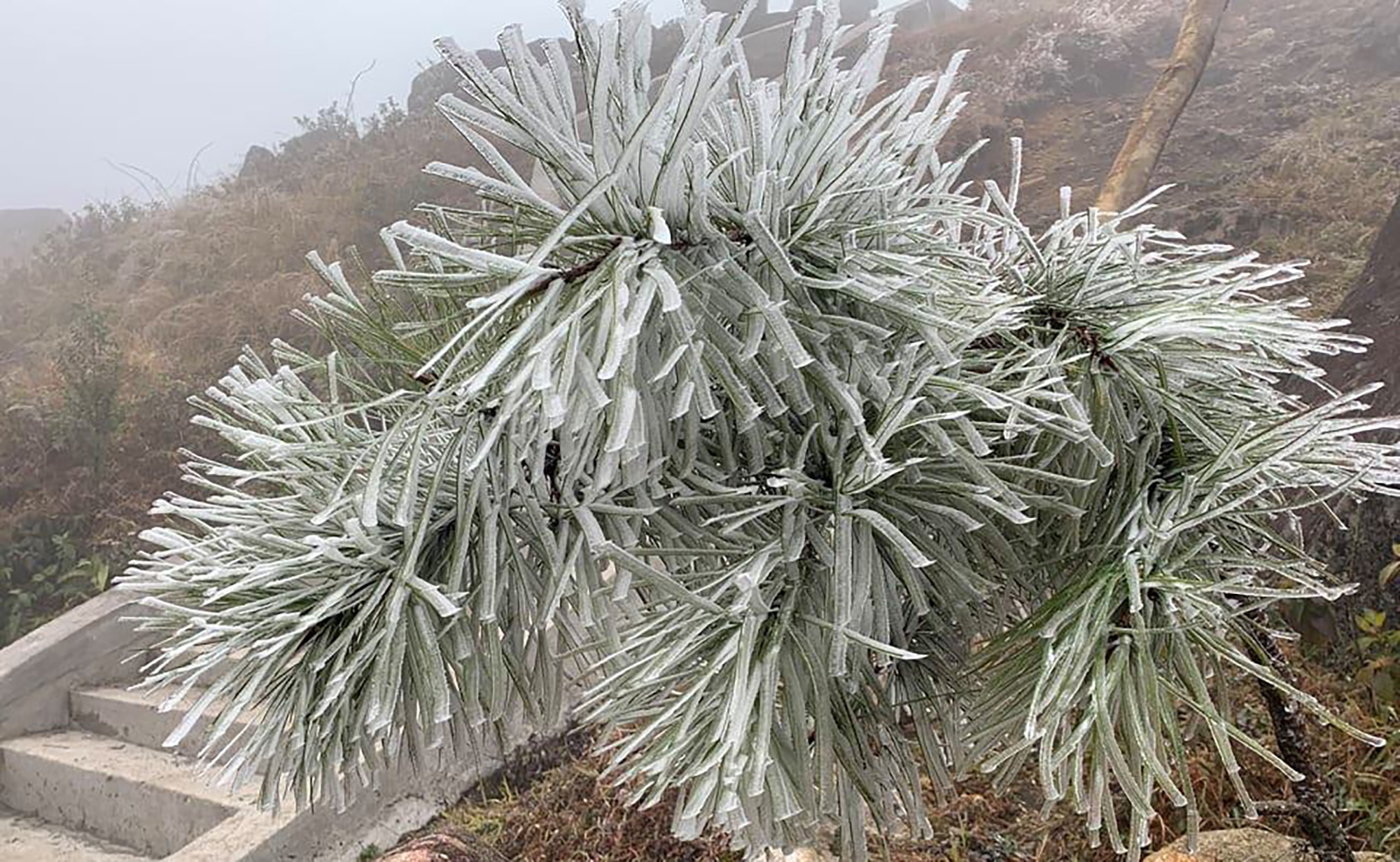 Bang gia xuat hien tai bien gioi anh 5