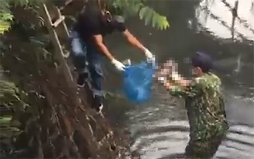 Thi the tre so sinh con nguyen day ron ben bo suoi hinh anh