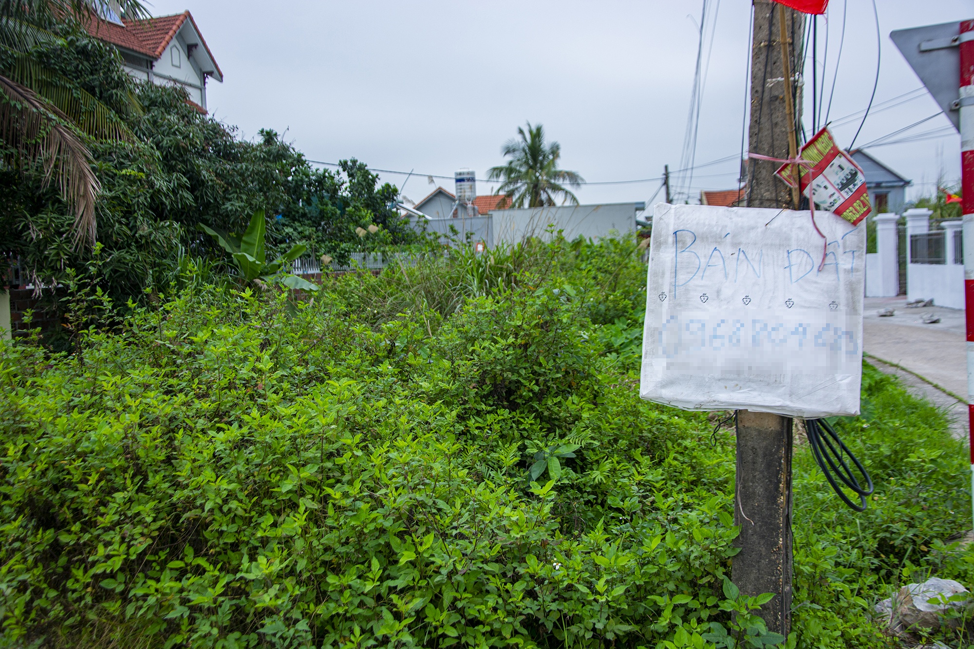 Canh bao giao dich ngam tai du an da bi thu hoi o Quang Ninh hinh anh