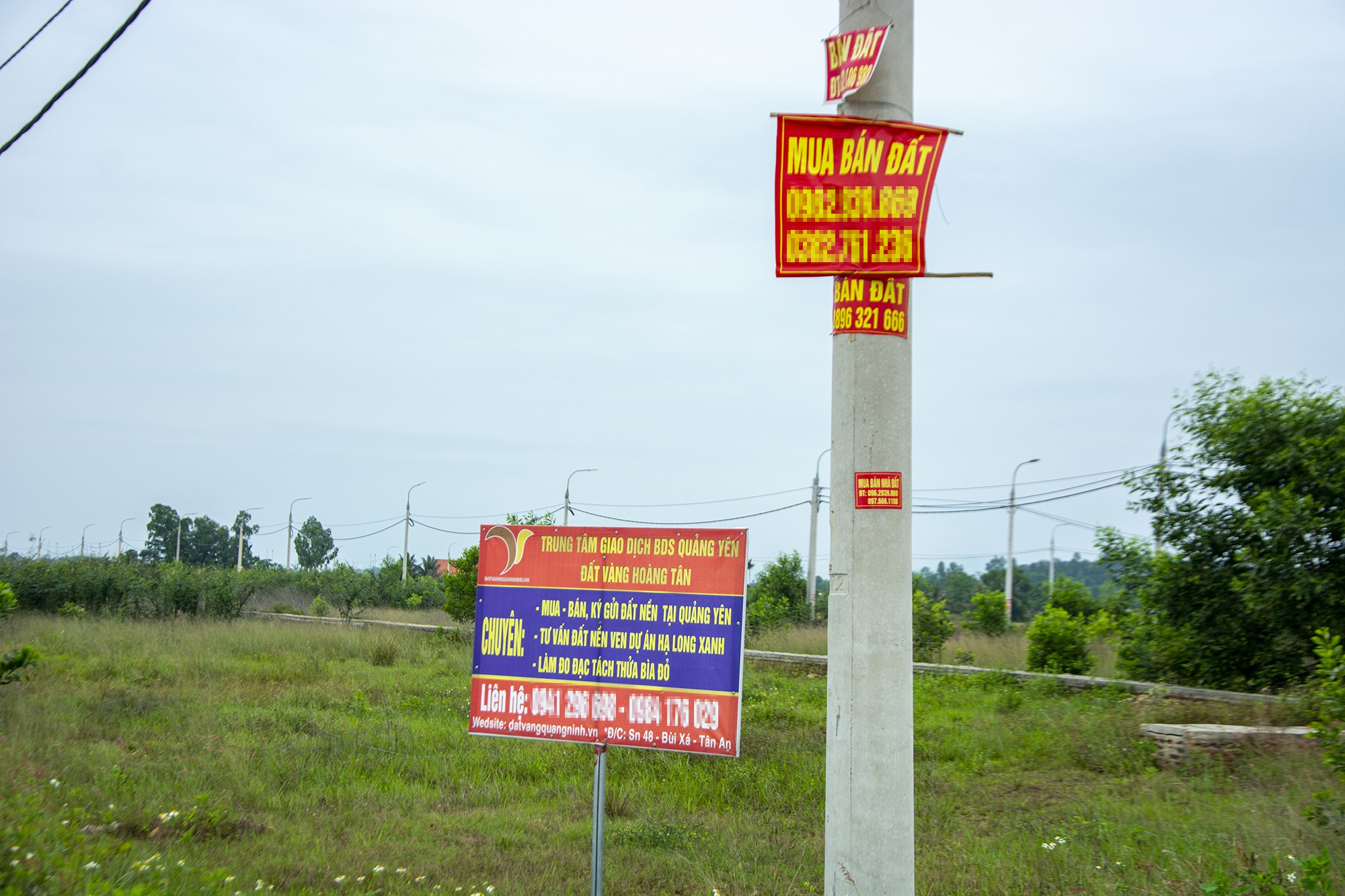 Du an bi thu hoi anh 1