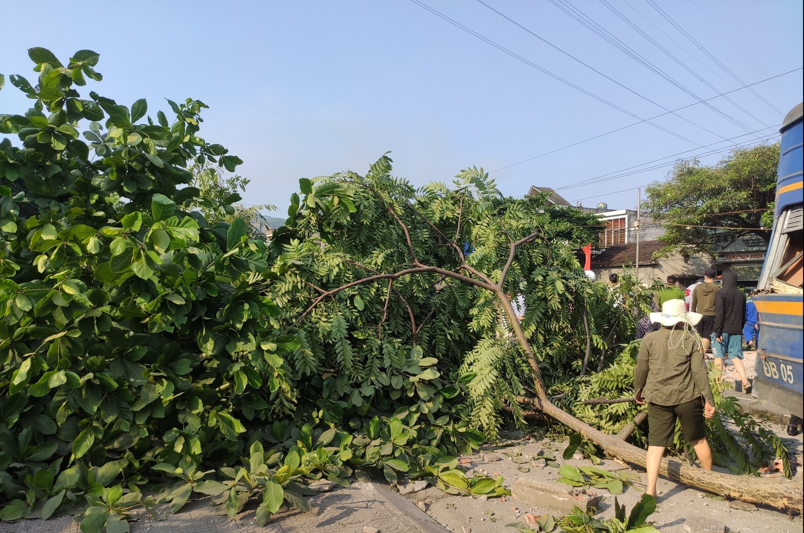 Lat tau cho than anh 3