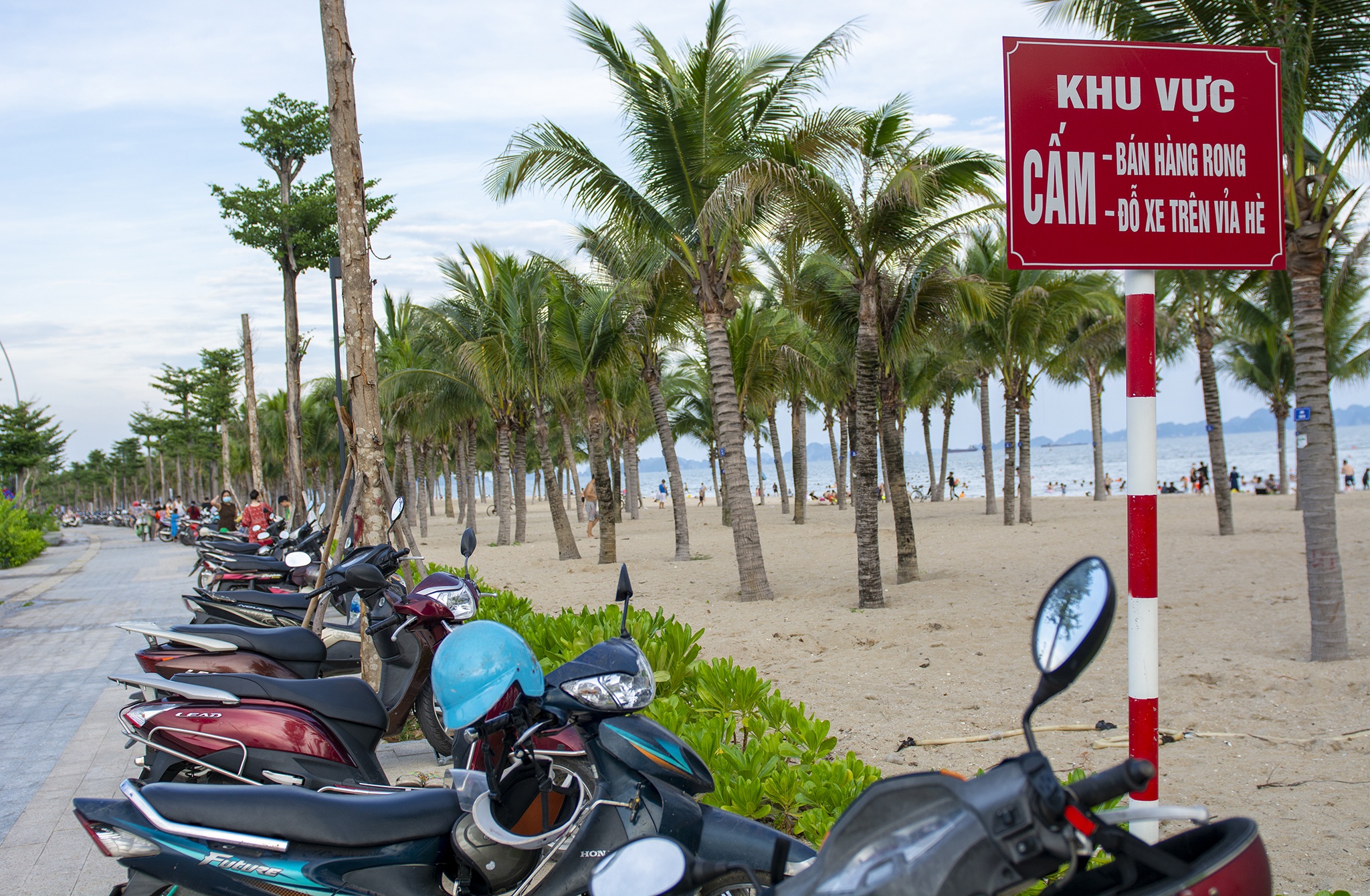 Oto,  xe may xep hang chan loi nguoi dan di ra bien anh 5