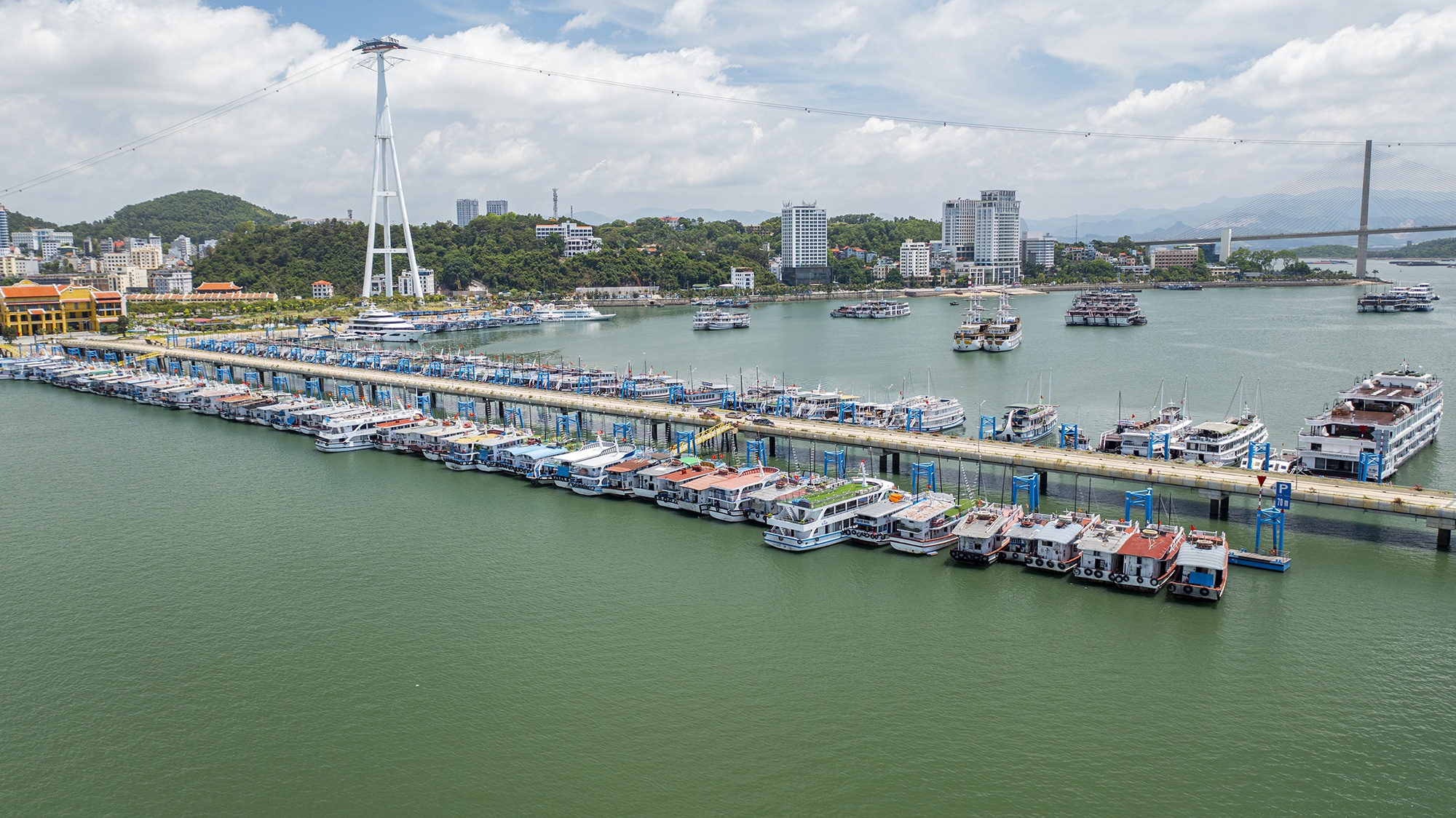 Gan 250 chu tau du lich co nguy co pha san xin ngan hang gian no hinh anh