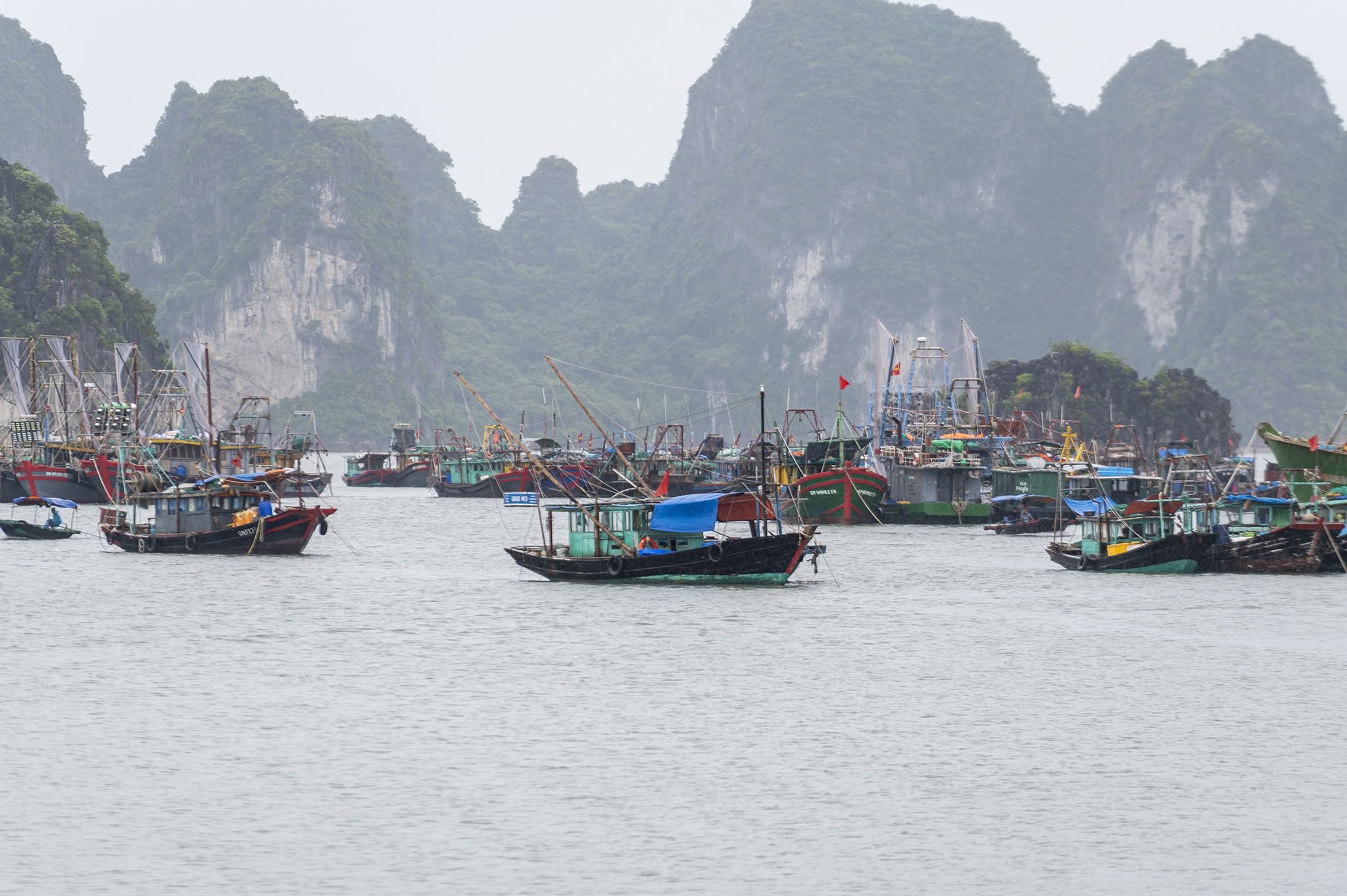 Hai Phong,  Quang Ninh cam bien keu goi tau thuyen vao bo anh 2