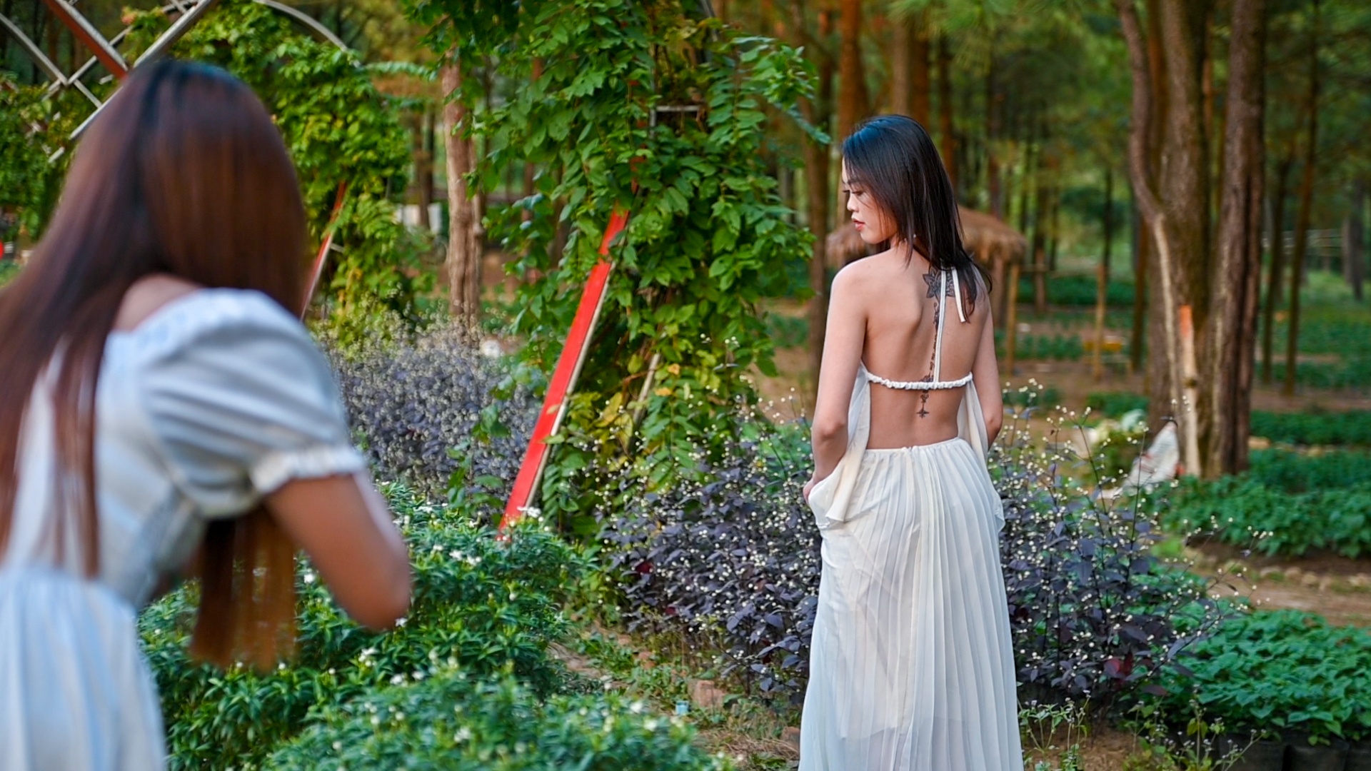 Cuc hoa mi no ro o Quang Ninh, thu hut gioi tre den chup anh hinh anh