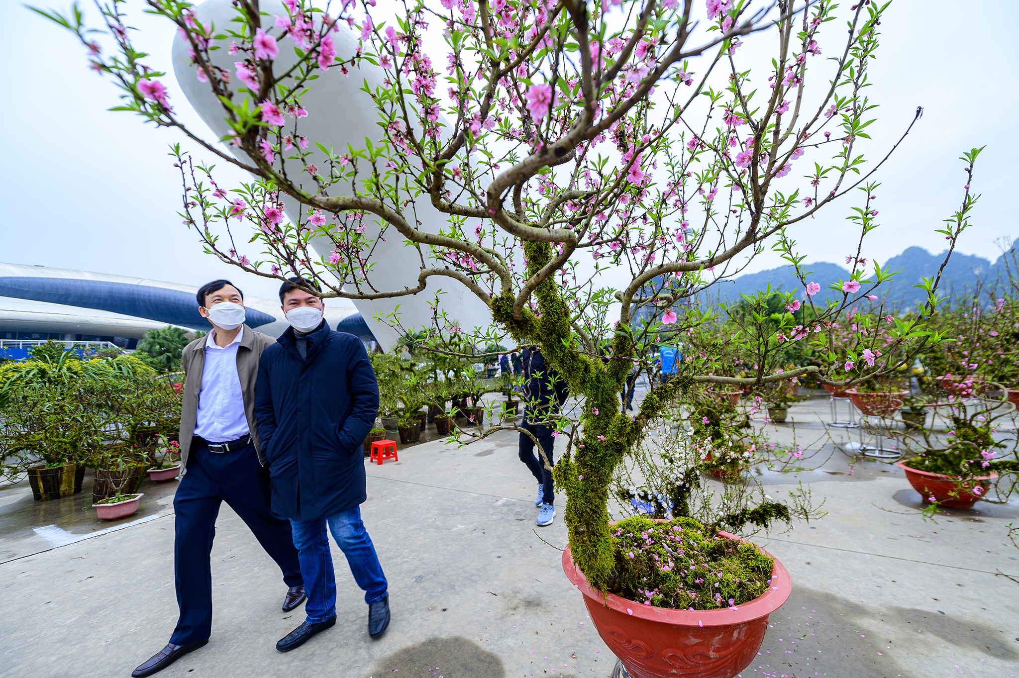 Dao Tet,  Tet Nguyen dan,  cho hoa,  cho hoa tet,  Quang Ninh,  Ha Long,  dao da,  nhat chi mai anh 6