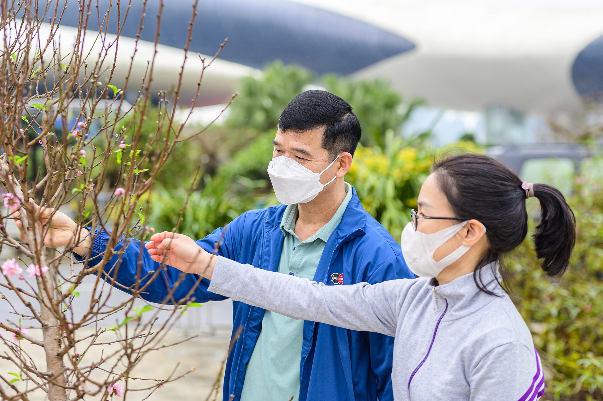Dao Tet,  Tet Nguyen dan,  cho hoa,  cho hoa tet,  Quang Ninh,  Ha Long,  dao da,  nhat chi mai anh 7