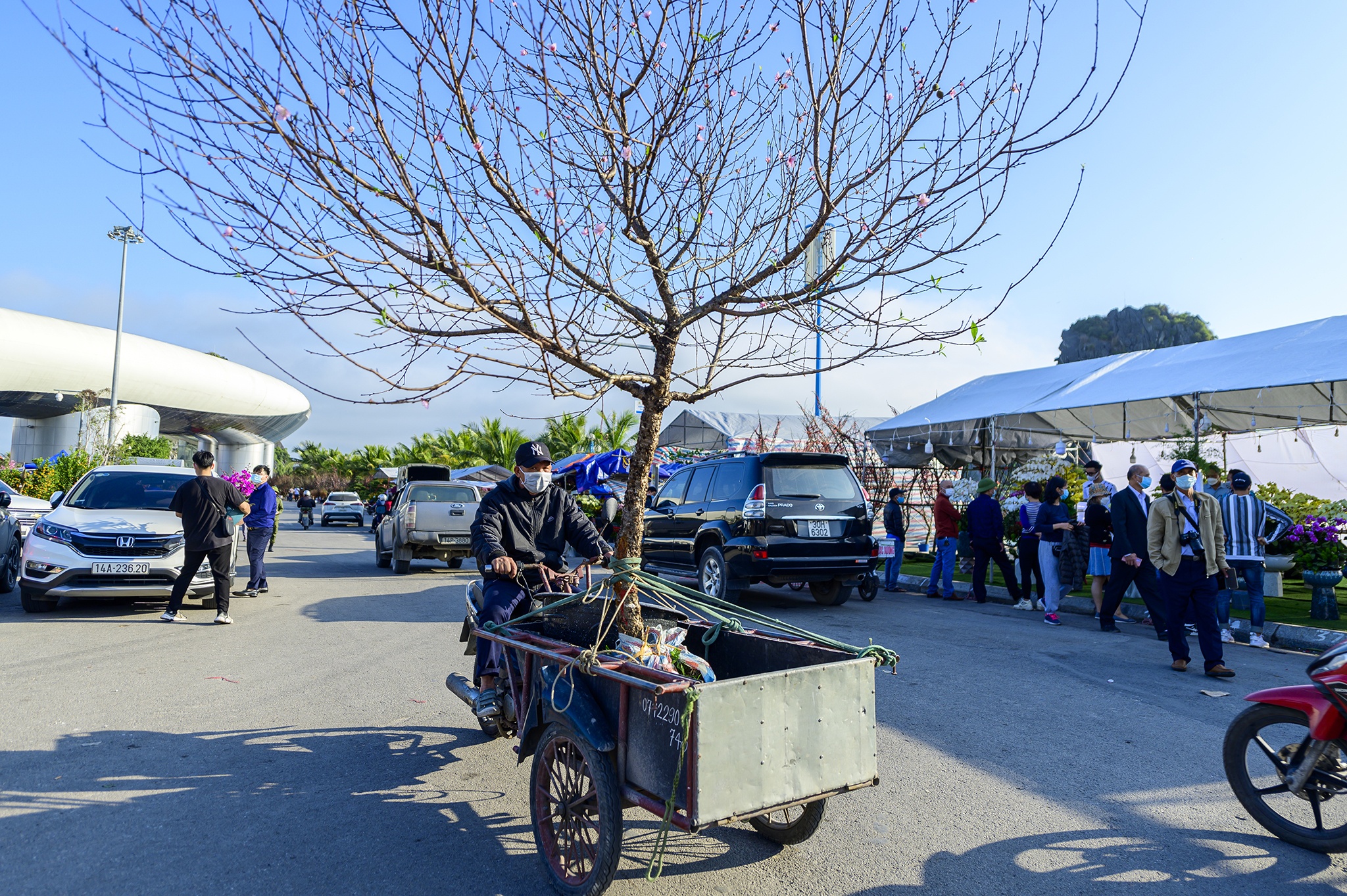 Dao Tet,  Tet Nguyen dan,  cho hoa,  cho hoa tet,  Quang Ninh,  Ha Long,  dao da,  nhat chi mai anh 11