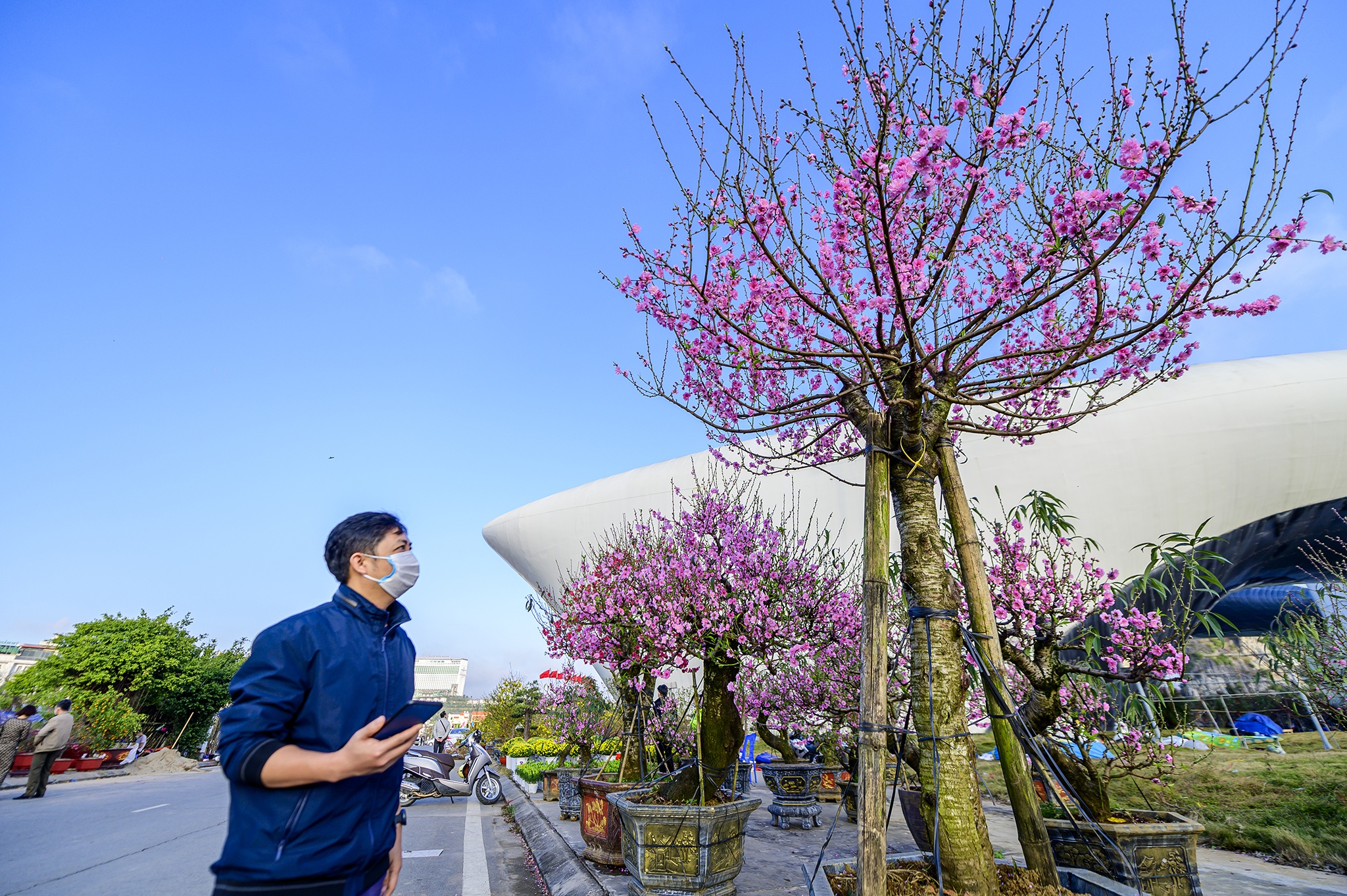 Dao Tet,  Tet Nguyen dan,  cho hoa,  cho hoa tet,  Quang Ninh,  Ha Long,  dao da,  nhat chi mai anh 9