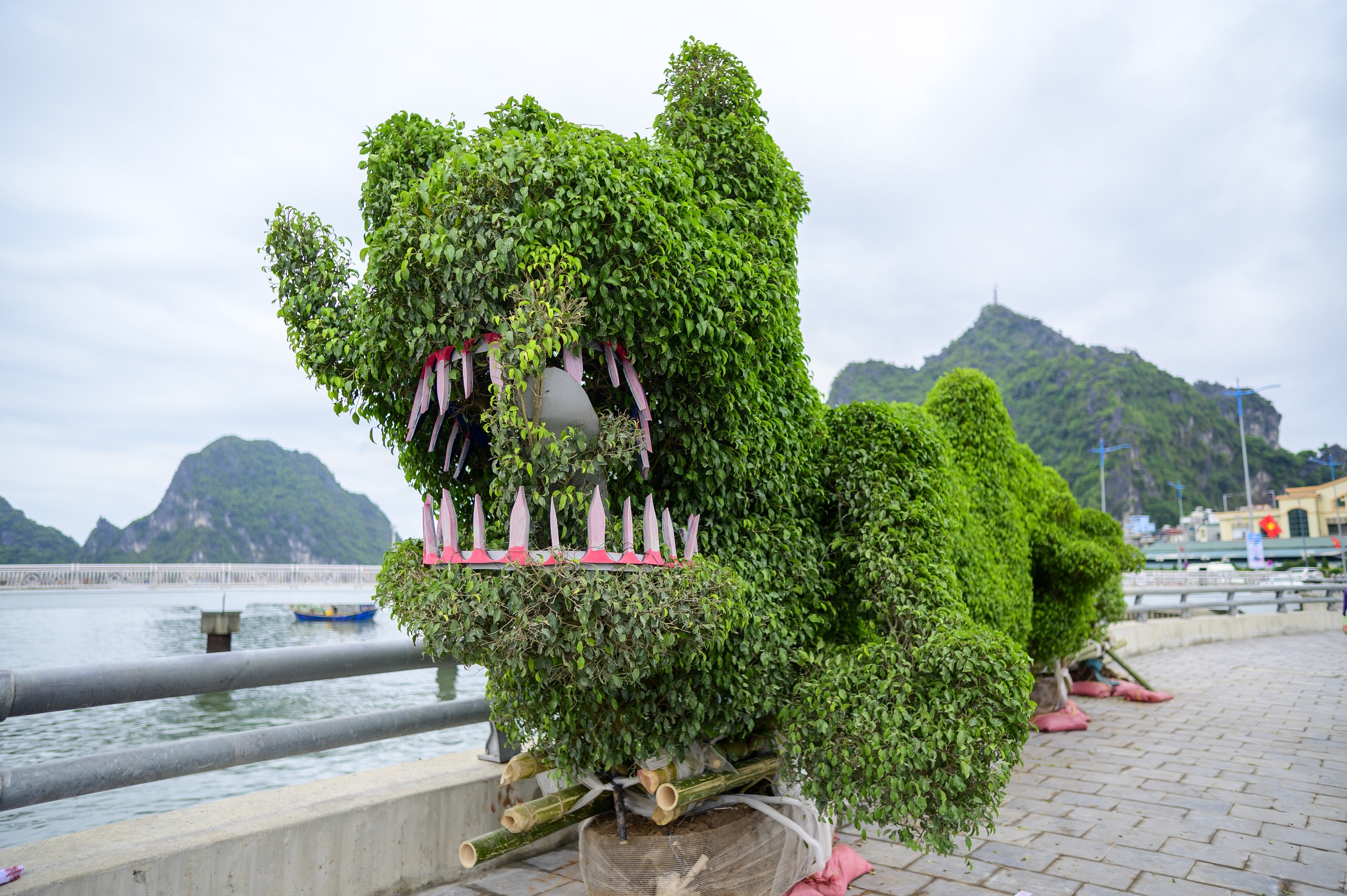 rong la,  vinh Ha Long,  Ha Long,  Quang Ninh,  duong bao bien,  duong bao bien Tran Quoc Nghien,  duong Tran Quoc Nghien,  tac pham nghe thuat anh 1