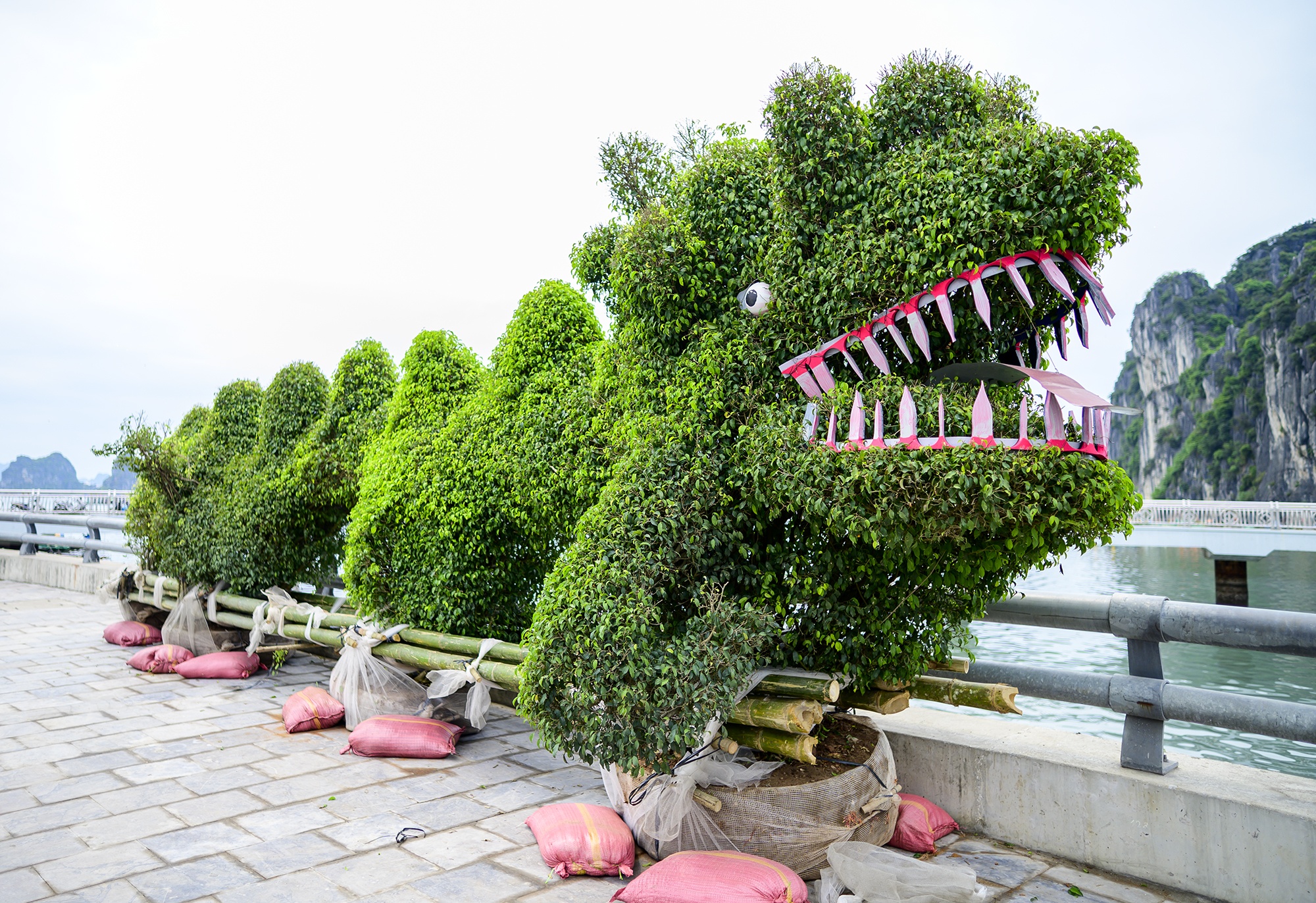 Ha Long,  Quang Ninh,  cong vien hoa Ha Long,  cot dong ho,  duong Tran Quoc Nghien,  duong bao bien anh 1