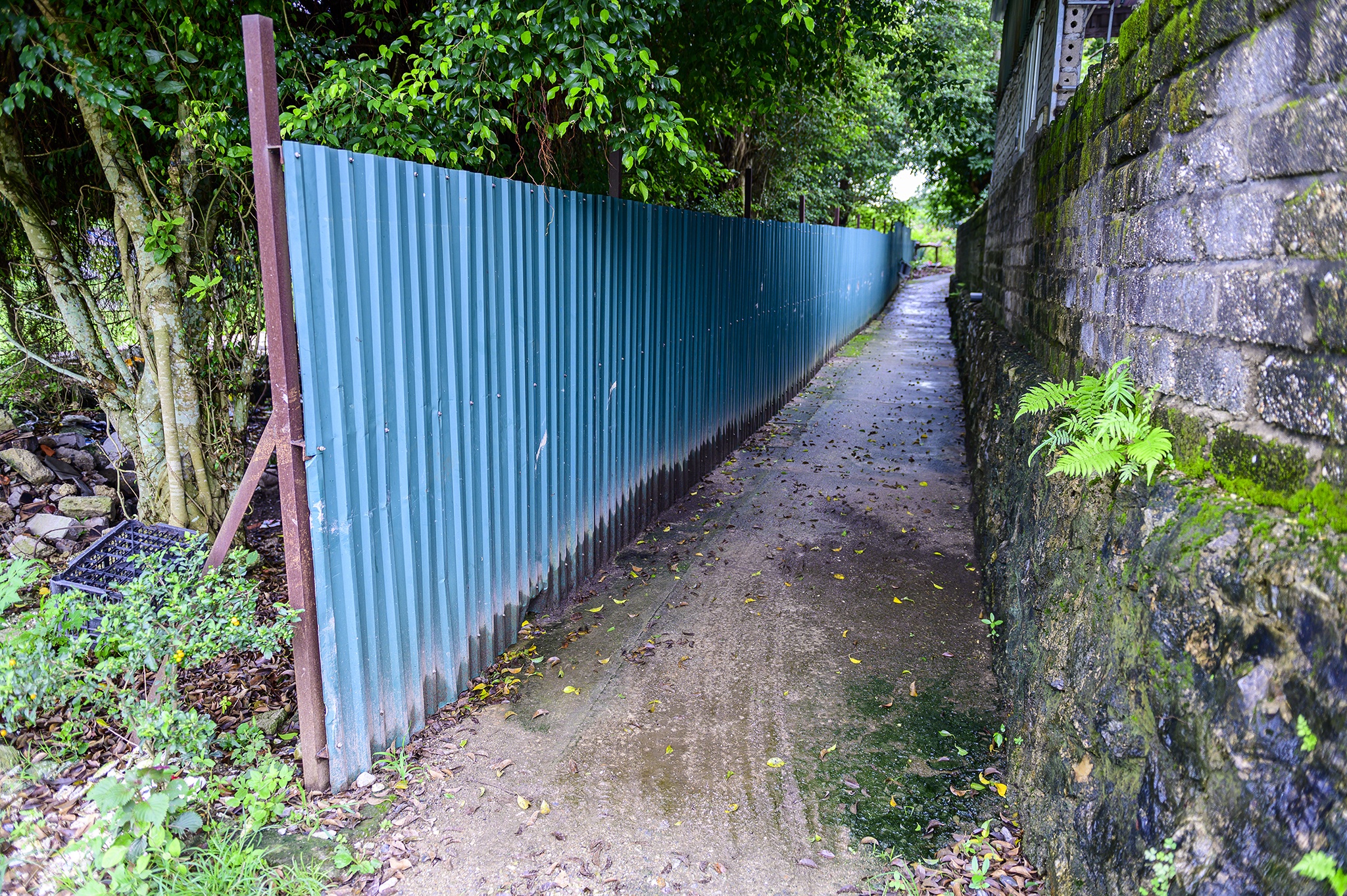 Quang Ninh,  Van Don,  du an,  khu do thi,  bat dong san,  san golf anh 8