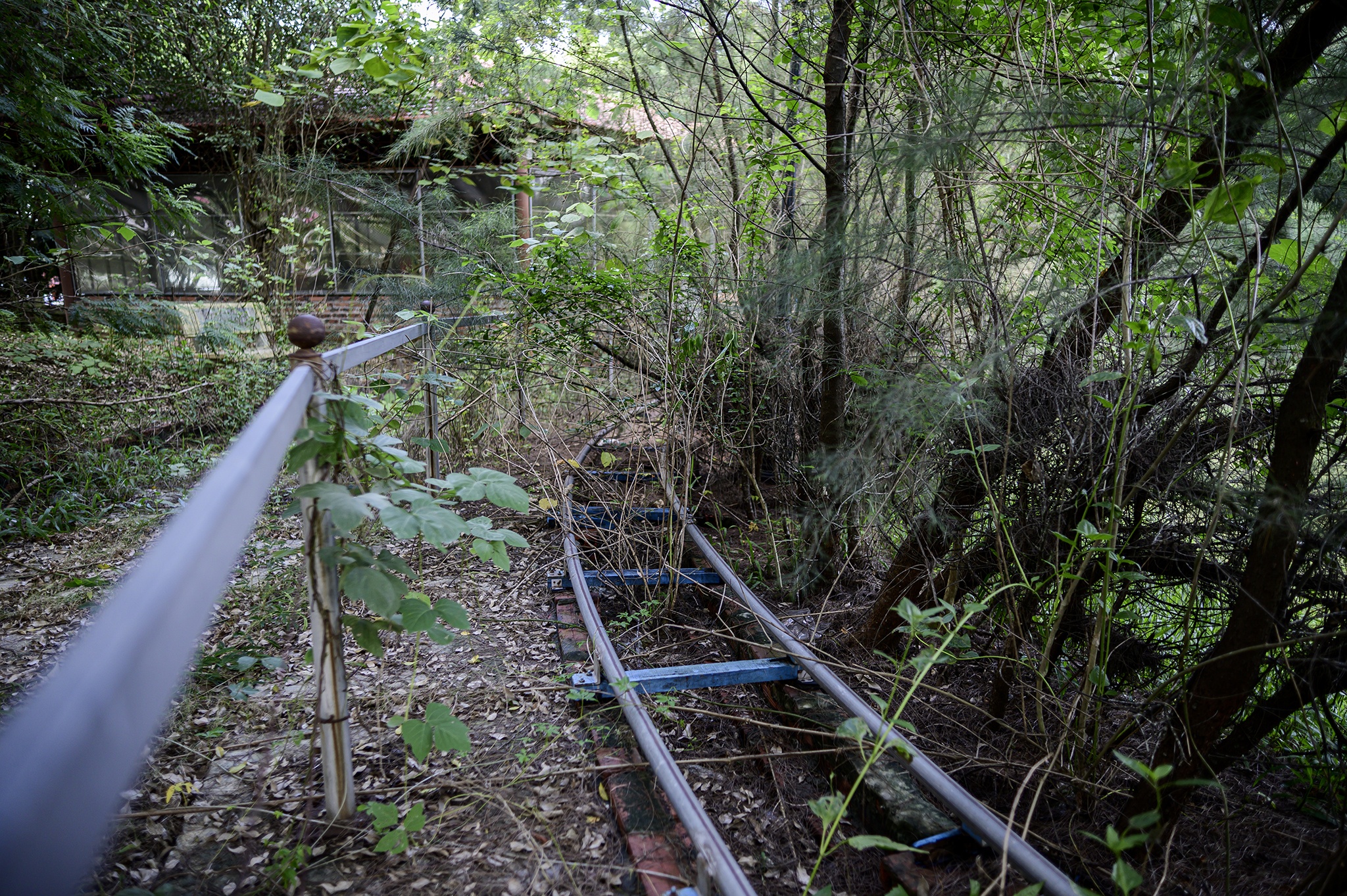 Cong vien o Uong Bi bo hoang anh 14