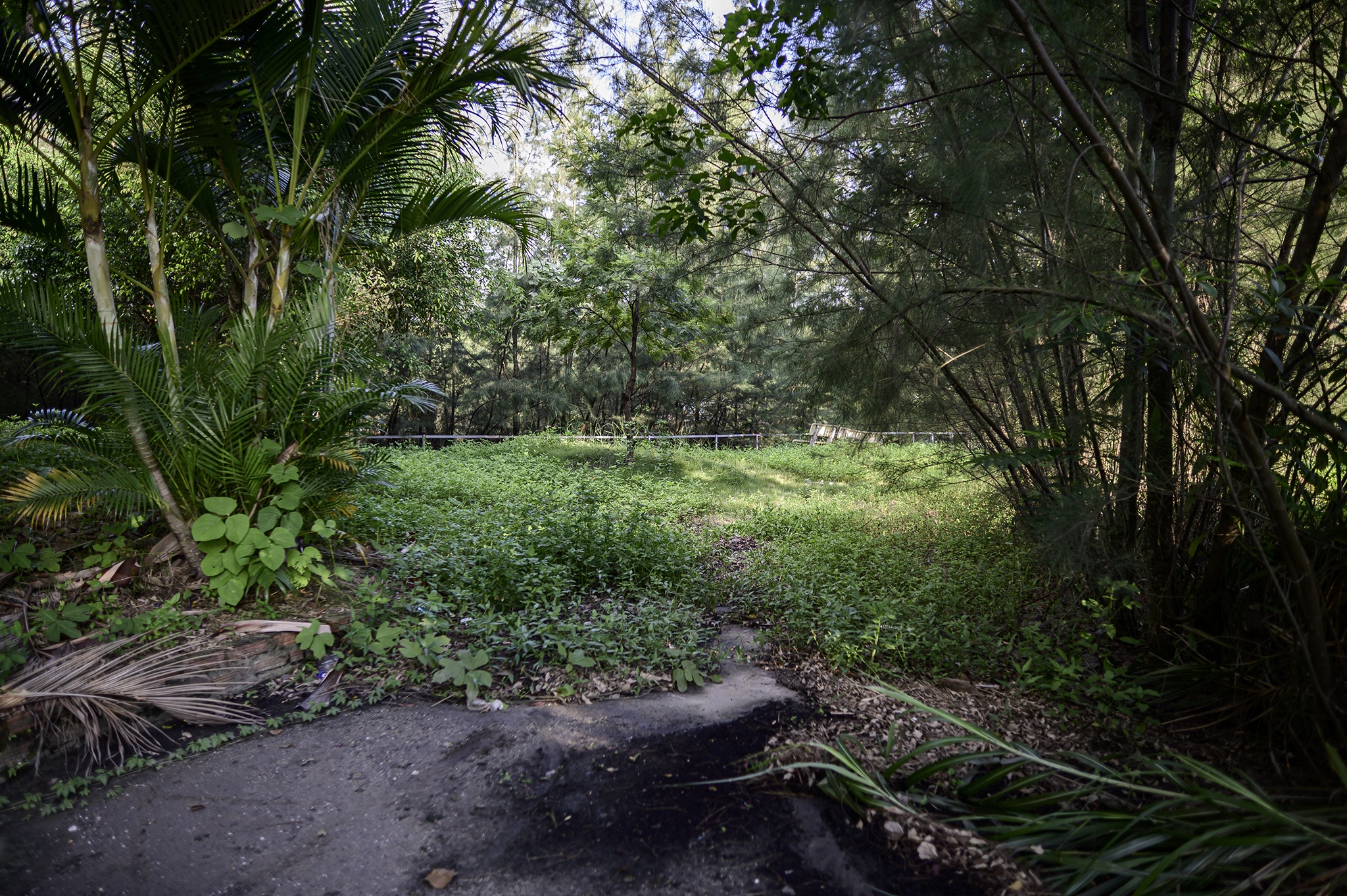 Cong vien o Uong Bi bo hoang anh 6