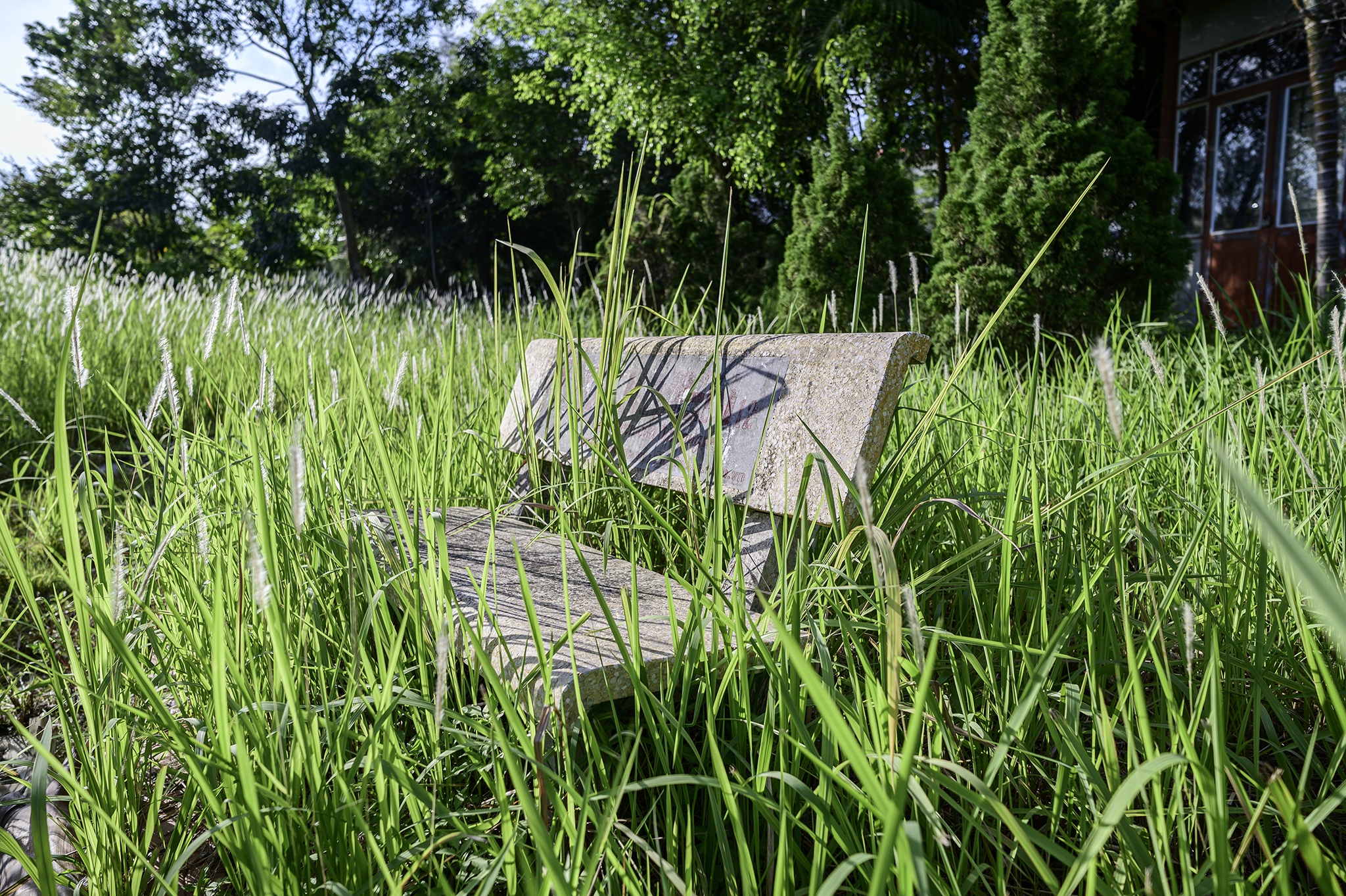 Cong vien o Uong Bi bo hoang anh 4