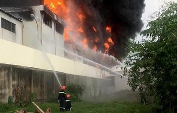 Chap dien khien 400 con lon bi chet hinh anh