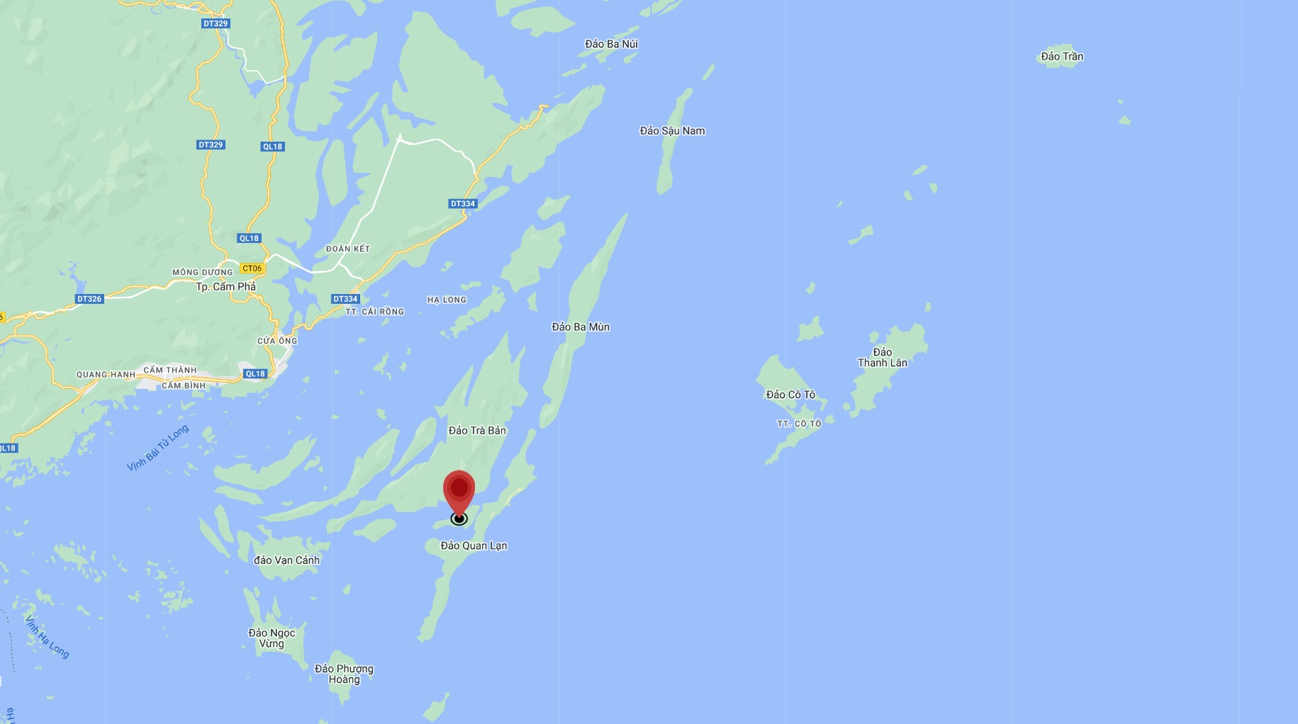 Mai tac xac ca voi ngay ben trong rung ngap man anh 2