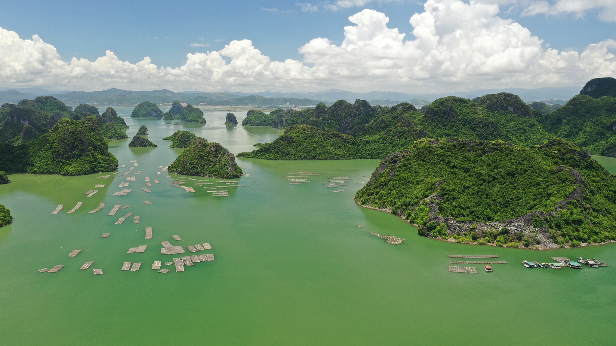 Pha bien Tuan Chau - Cat Ba anh 6