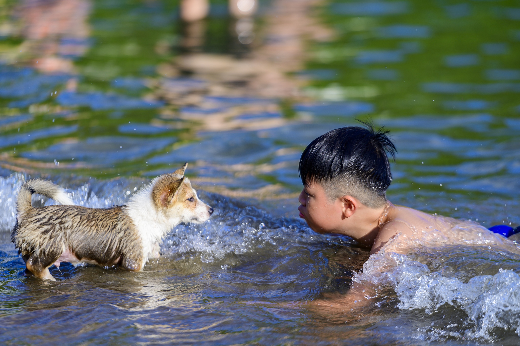 Du lich dao Cat Ba anh 6