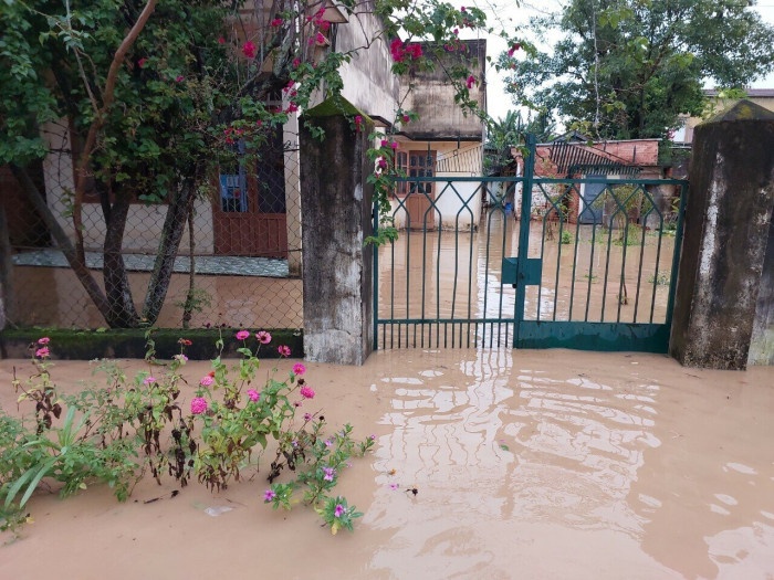 Lam Dong ngap nang anh 2