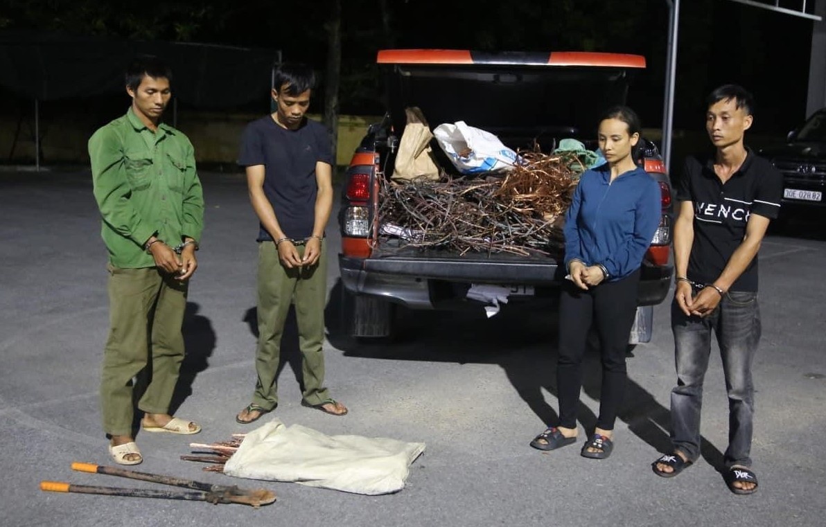 Bat nhom cat trom day cap dien tren cao toc moi o Quang Ninh hinh anh