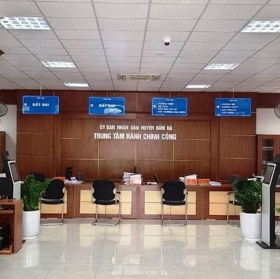 Dinh chi mot pho giam doc o Quang Ninh lien quan to cao hiep dam hinh anh