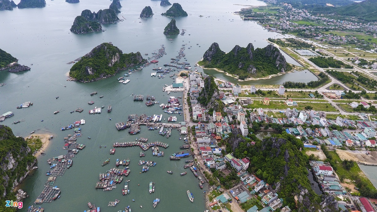 khan hiem xang dau anh 2