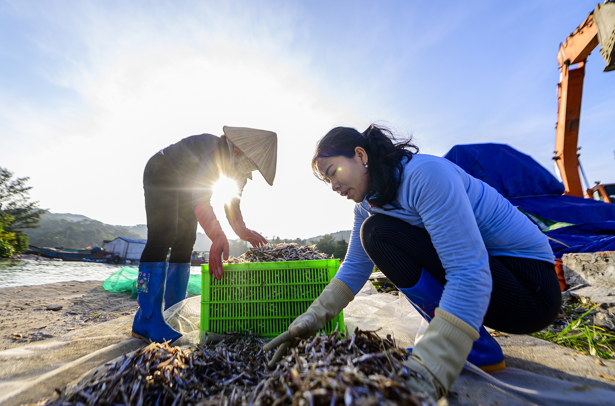 ca com dao Thanh Lan anh 5