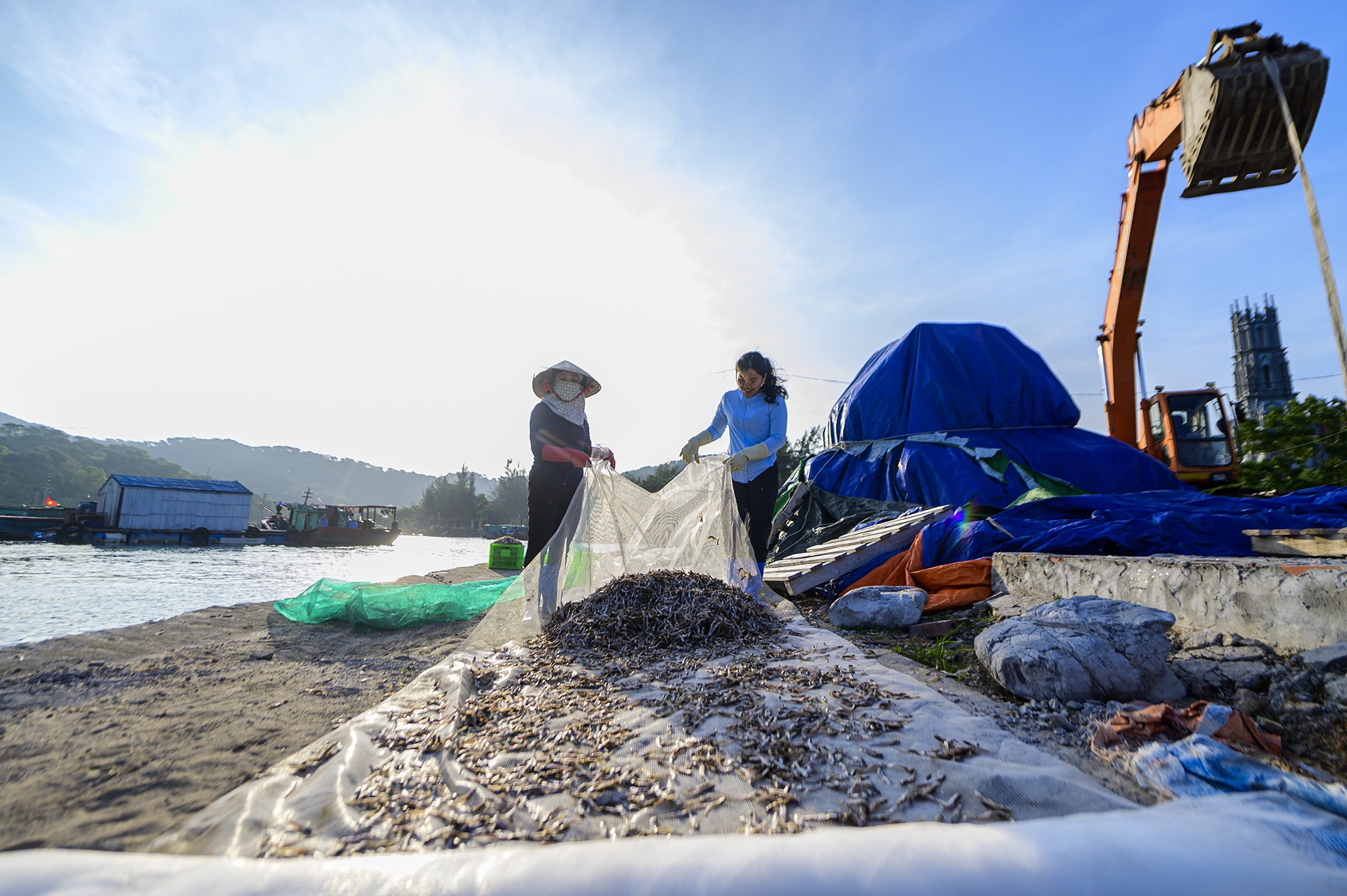 ca com dao Thanh Lan anh 7