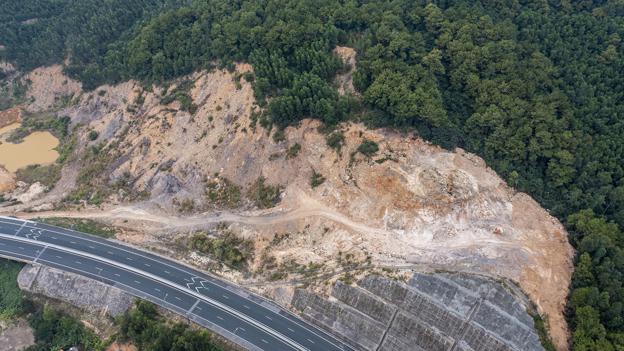 Nguyen Giam doc Cong ty Vu Dai Vy bi bat hinh anh