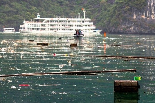 Du khach lac dau khi thay rac thai bua vay vinh Ha Long hinh anh