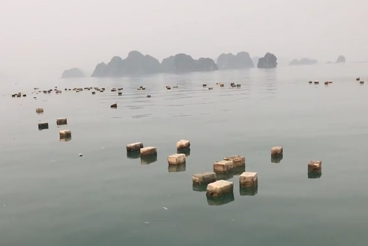 Hang nghin phao xop troi noi tren vinh Bai Tu Long hinh anh