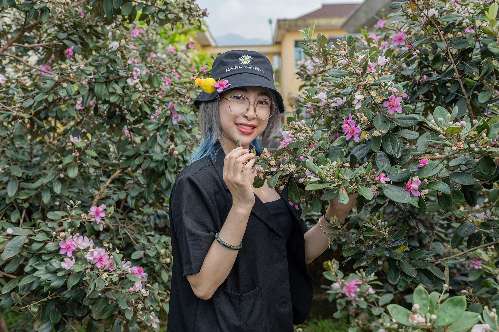 Check-in cung hoa sim tai Mong Cai hinh anh