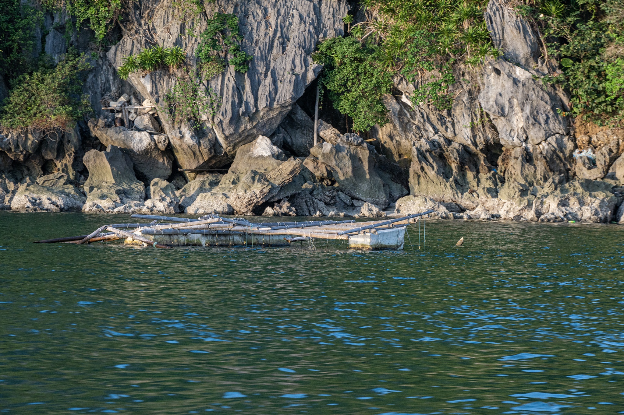 Moi truong,  vinh Ha Long,  Quang Ninh,  Ha Long,  o nhiem moi truong anh 1