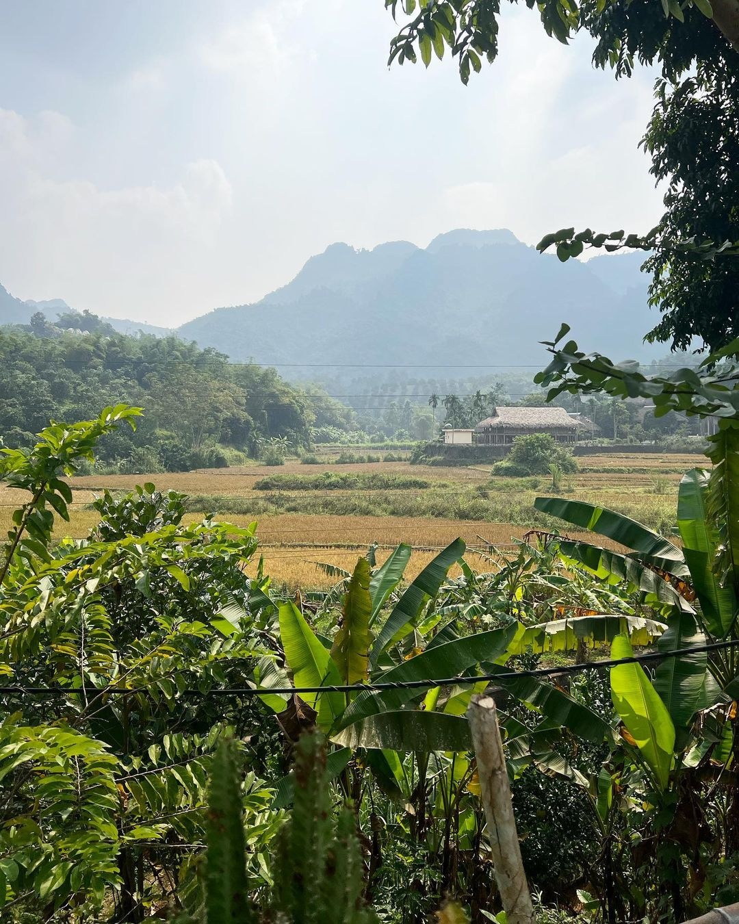 Diem den gan Ha Noi anh 7