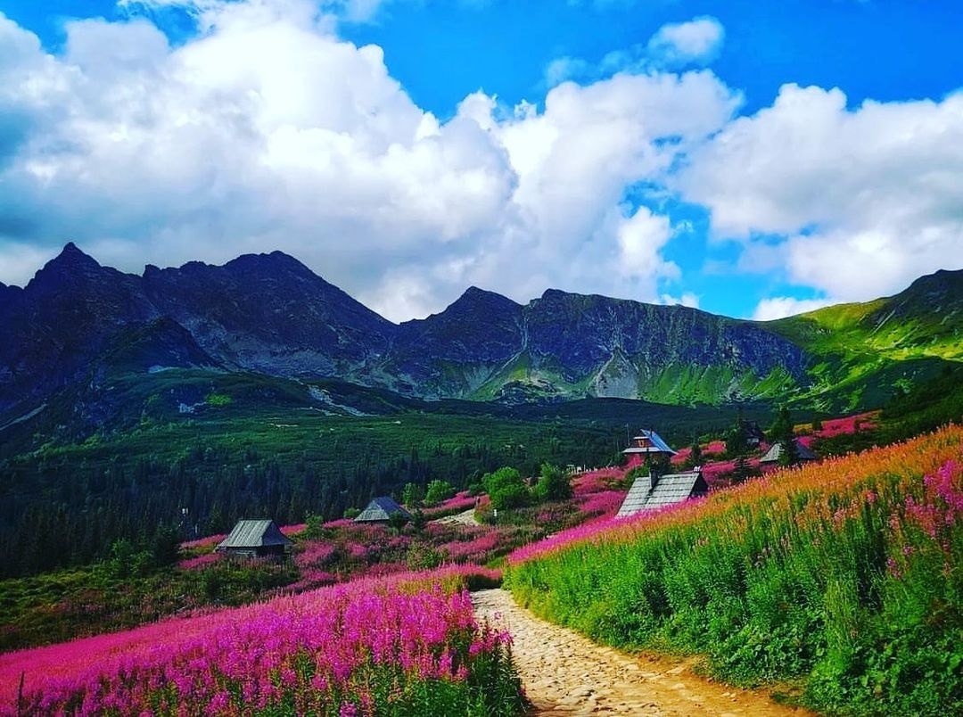 6 diem ngam hoa it nguoi biet o chau Au hinh anh