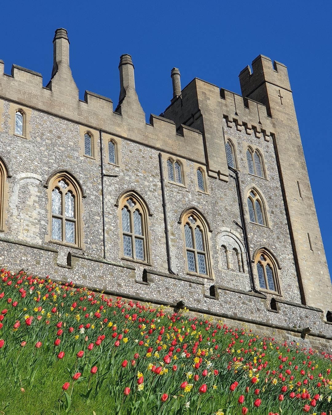 Ngam hoa o chau Au anh 1